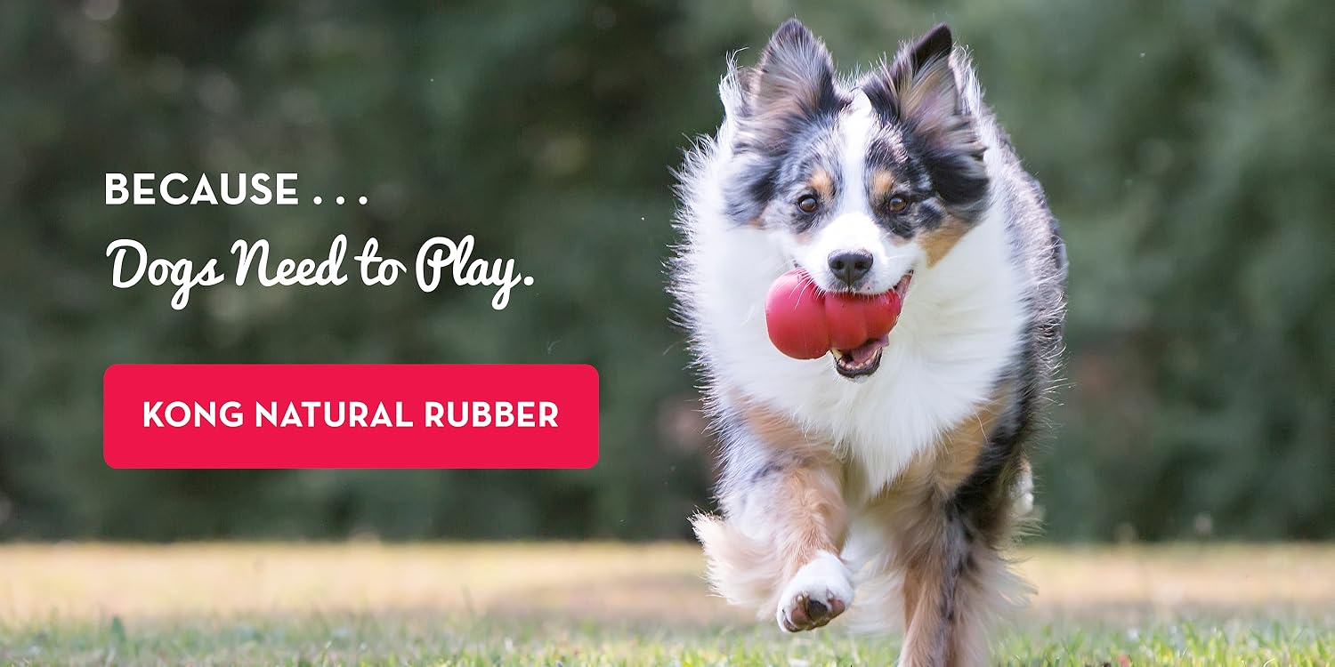 KONG ： Tough Toys for Happy Dogs