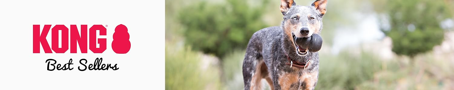 KONG ： Tough Toys for Happy Dogs
